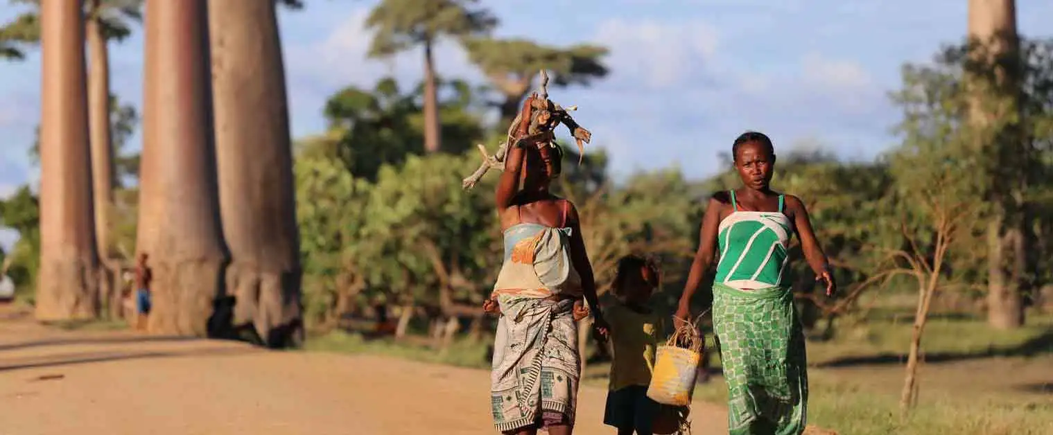 Des Aventures Inoubliables à Madagascar