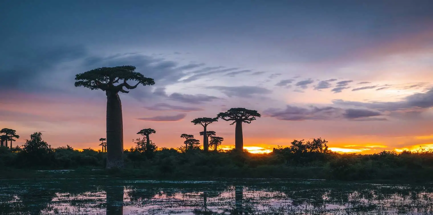 Séjour inoubliable sur une île paradisiaque